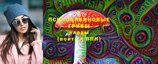 гидропоника Няндома
