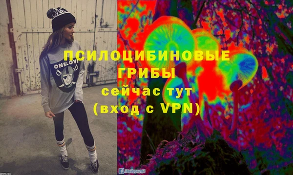 твердый Нягань