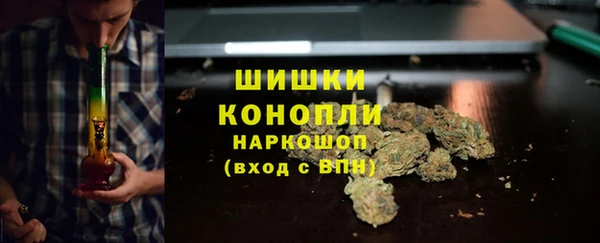 твердый Нягань