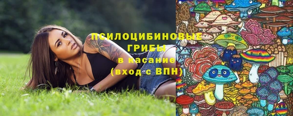 MDMA Premium VHQ Нязепетровск