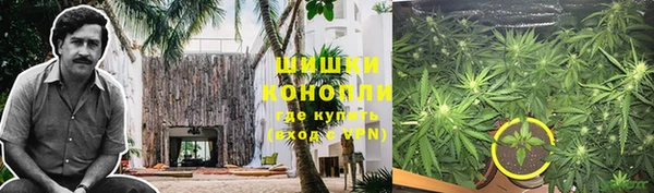 твердый Нягань