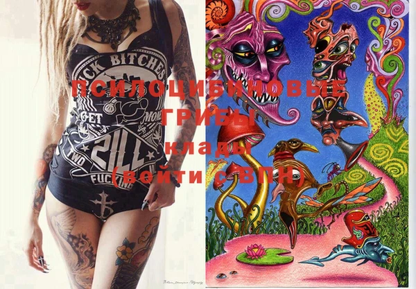 MDMA Premium VHQ Нязепетровск
