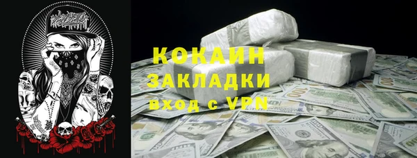 твердый Нягань
