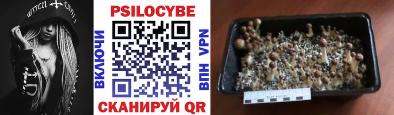 Галлюциногенные грибы GOLDEN TEACHER  что такое   Кириши 