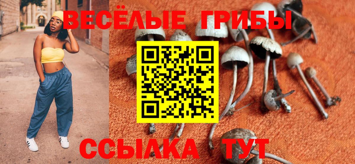 Галлюциногенные грибы MAGIC MUSHROOMS Кириши