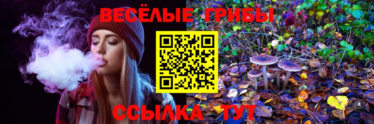 Галлюциногенные грибы Psilocybine cubensis  Кириши 