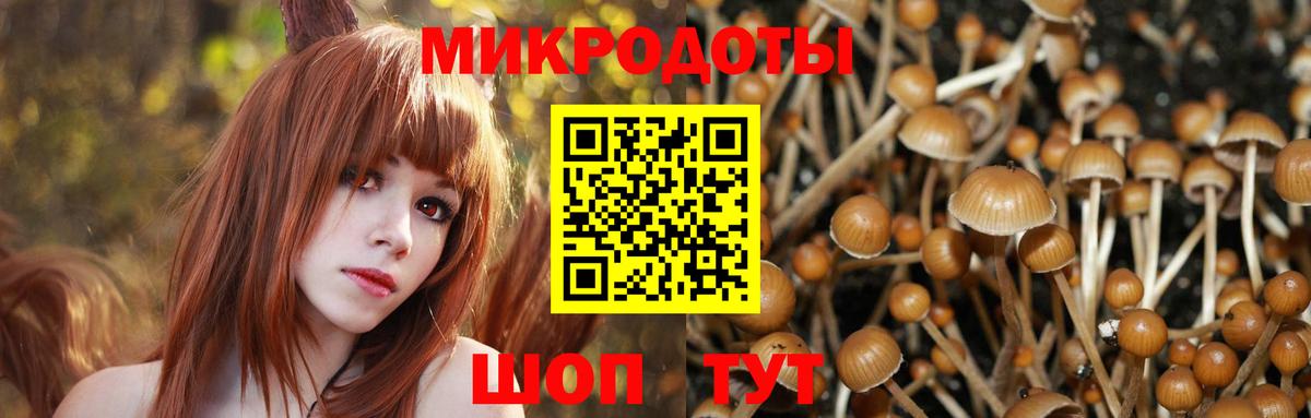 Псилоцибиновые грибы Psilocybe  Вход с VPN  Псилоцибиновые грибы Psilocybine cubensis  Кириши 